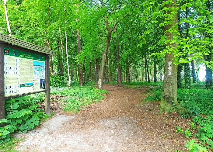 Komfort Alexa